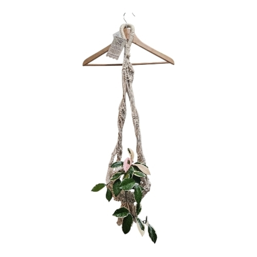 NWT Macrame Plant Hanger Handcrafted Rope Home Decor Florals Fruit Basket